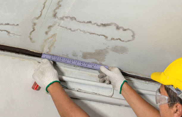 Reliable Water Damage contractor in Elkhart Lake, WI by Water Damage Irwin